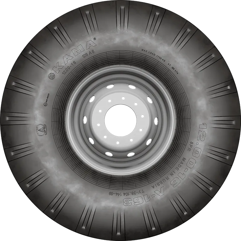 Л-163 в Сестрорецке — KAMA TYRES Л-163 в Сестрорецке