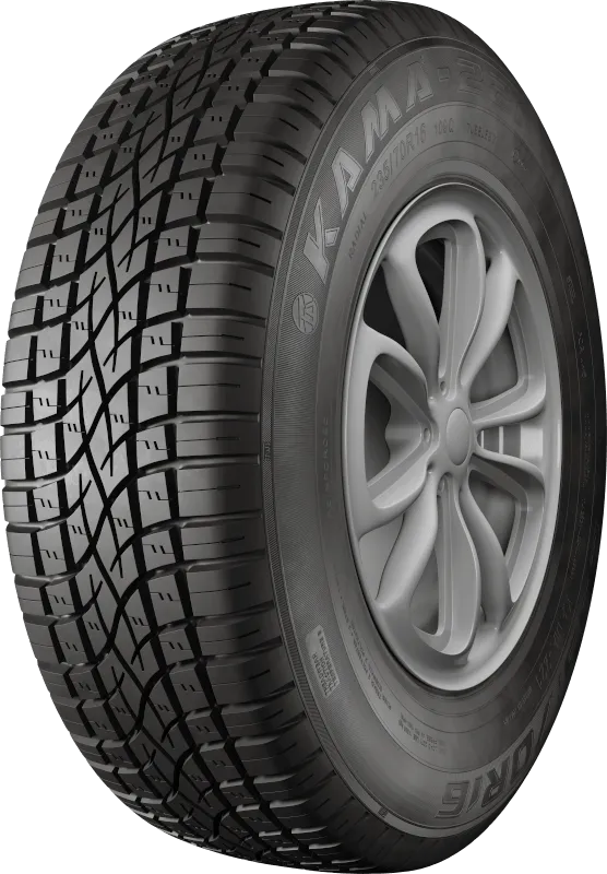 KAMA-221 в Сестрорецке — KAMA TYRES KAMA-221 в Сестрорецке